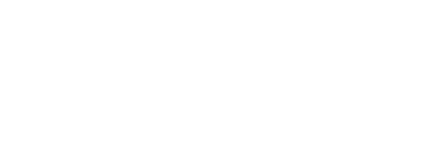 Logo GEMINI